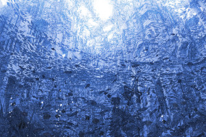 心之所向，无畏战场！冠军榜见证电竞英雄的诞生