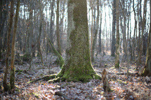 “心态崩了”专访还原赛场失误瞬间，原因令人啼笑皆非