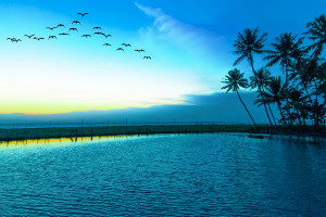 粉丝们喊话:求求了,让这支队伍在八强赛走得更远! 粉丝们喊话:求求了,让这支队伍在八强赛走得更远!